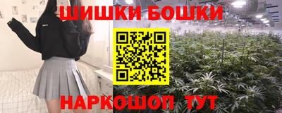 шишки Лесосибирск