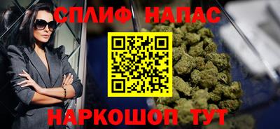 шишки Лесосибирск