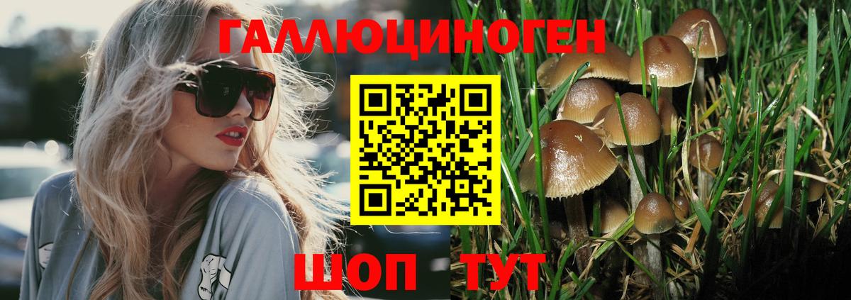 Гусь-Хрустальный  Псилоцибиновые грибы Psilocybe  Вход с VPN 